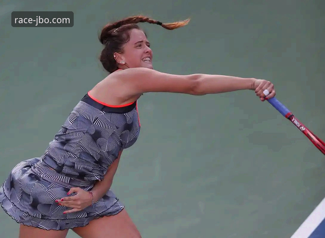 从迪拜到沙漠：网球巨星参赛路径受阻事件的技术性复盘指南