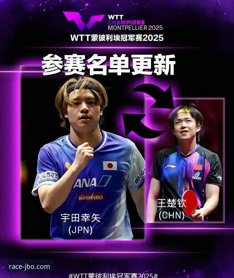 揭秘欧美杯取消背后的技术性博弈：从赛程安排看顶级赛事的脆弱平衡